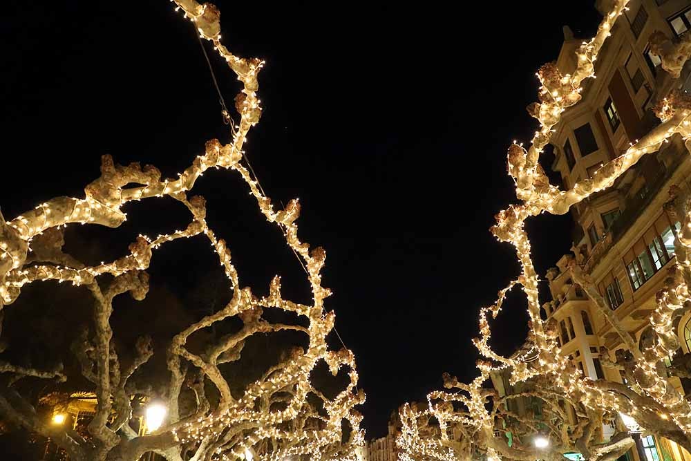 Fotos: Burgos da la bienvenidad a la Navidad con el encendido de su alumbrado