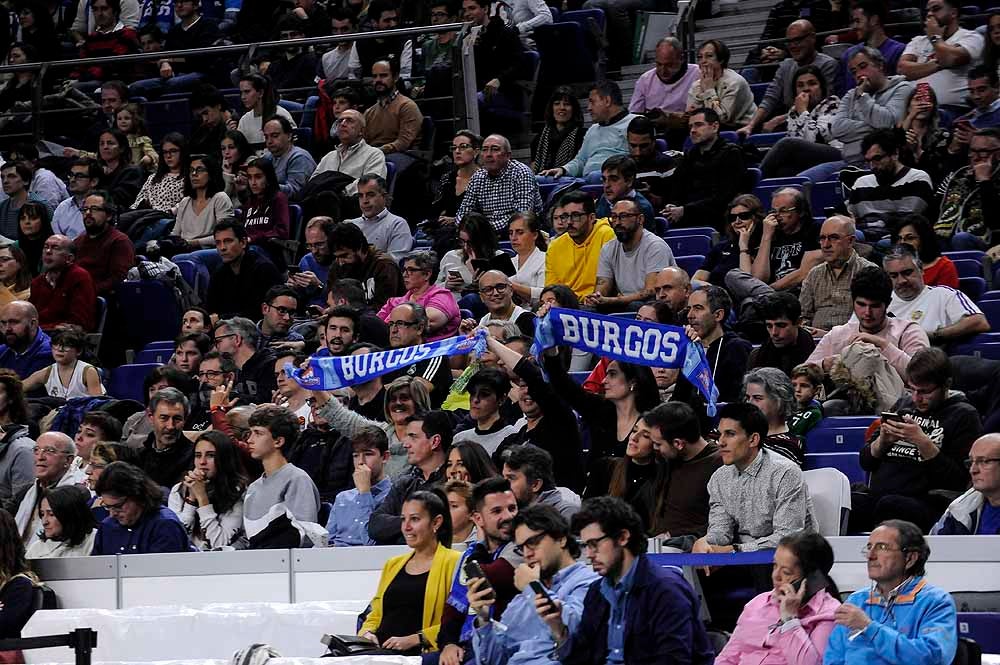 Fotos: La afición del San Pablo Burgos se ha desplazado a disfrutar del encuentro con el Real Madrid