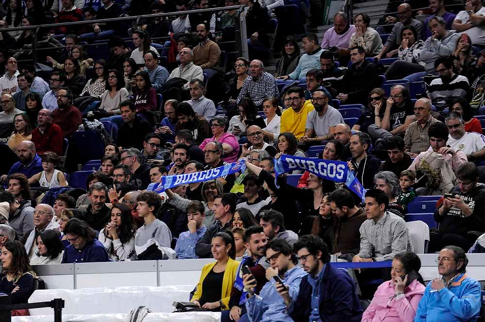 Fotos: La afición del San Pablo Burgos se ha desplazado a disfrutar del encuentro con el Real Madrid