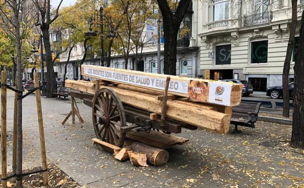 Los carreteros han llevado también vigas, nuevas y antiguas, para mostrar que la madera noble tiene una segunda vida