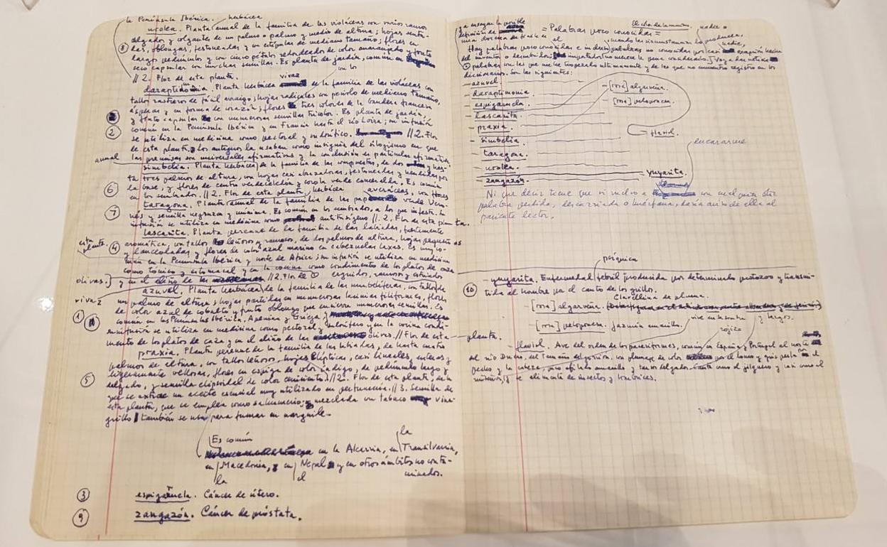 Original de uno de los artículos de Camilo José Cela escrito en uno de los 23 cuadernos de la UCJC. 