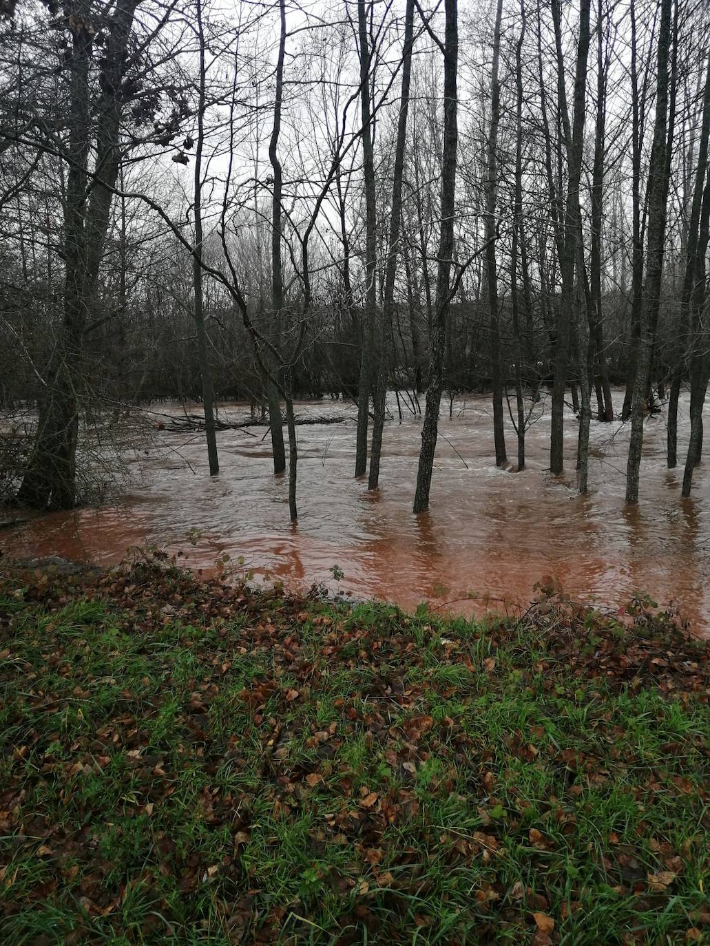 Río Arlanza.