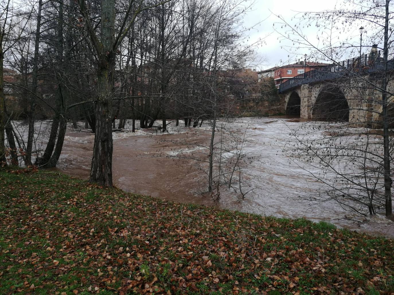 Río Arlanza a su paso por Salas de los Infantes.