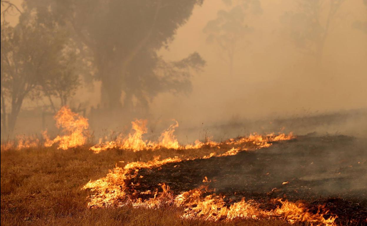 Uno de los recientes incendios en Australia. 