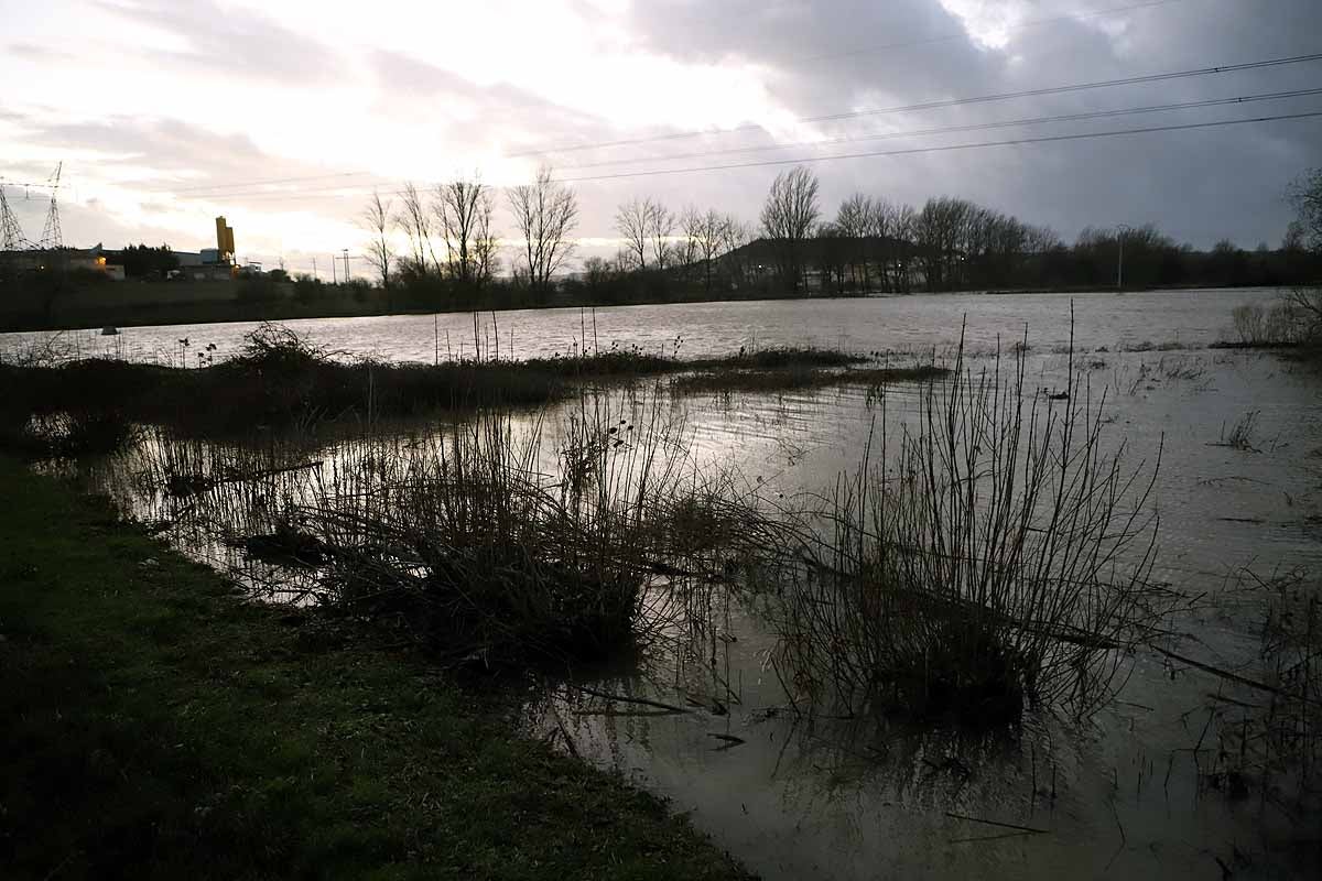 El río Ubierna ha anegado la carretera CL-629 a su llegada a Sotopalacios. El sábado un carril permanecía cortado.