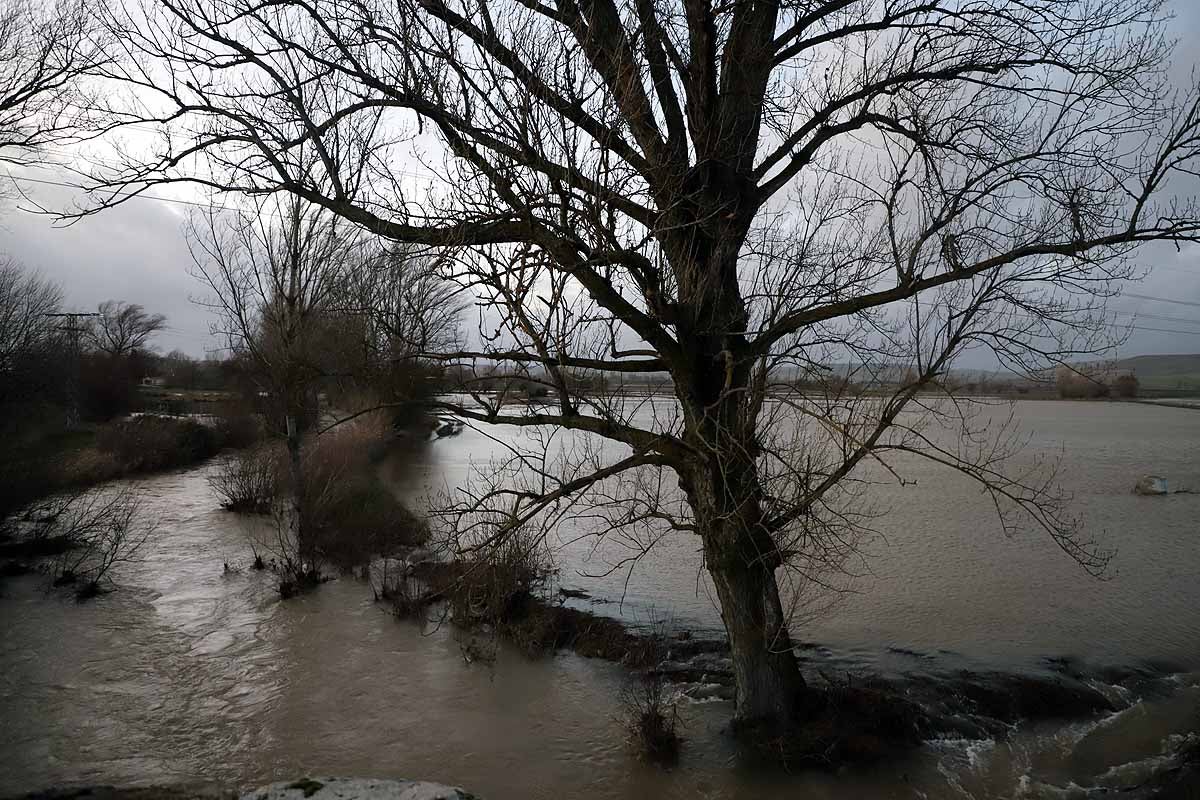 El río Ubierna ha anegado la carretera CL-629 a su llegada a Sotopalacios. El sábado un carril permanecía cortado.