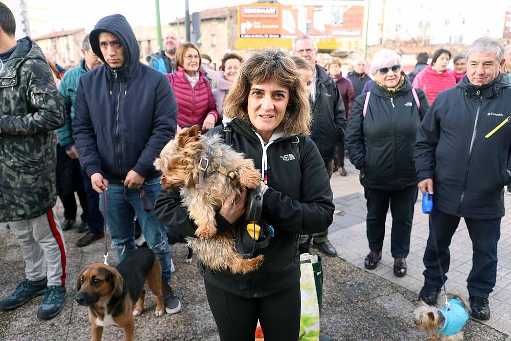 Fotos: Los animales celebran su día con la bendición de San Antón