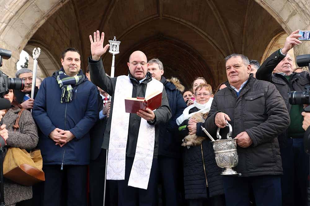 Fotos: Los animales celebran su día con la bendición de San Antón