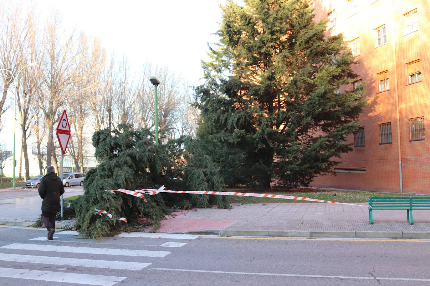 Fotos: El fuerte viento está provocando numerosos incidentes en Burgos