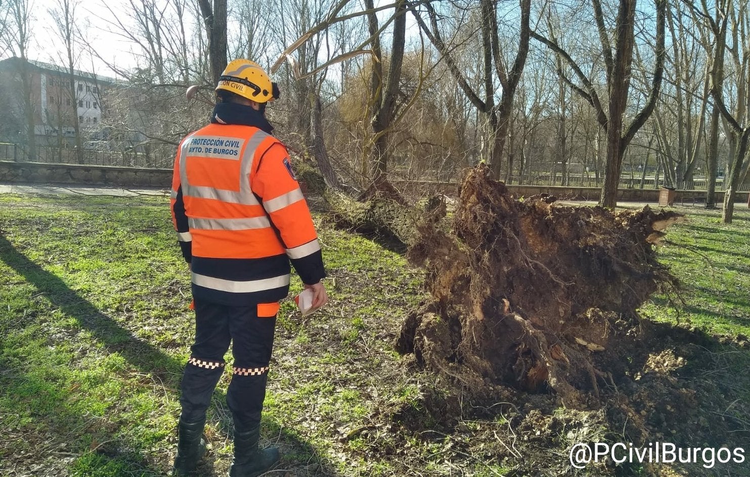 Fotos: El fuerte viento está provocando numerosos incidentes en Burgos