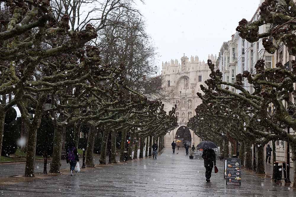 Fotos: La nieve llega a Burgos