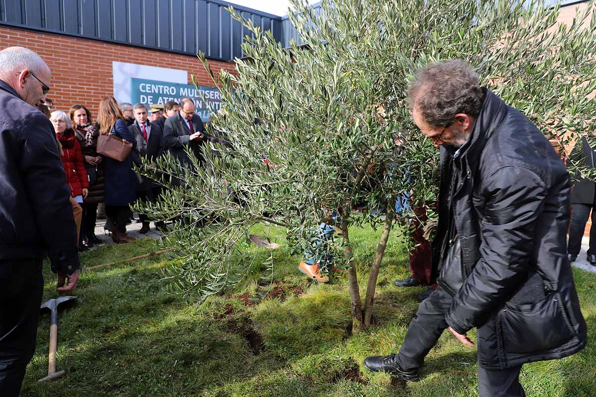 Durante la inauguración oficial se ha plantado un olivo a la puerta del centro. 