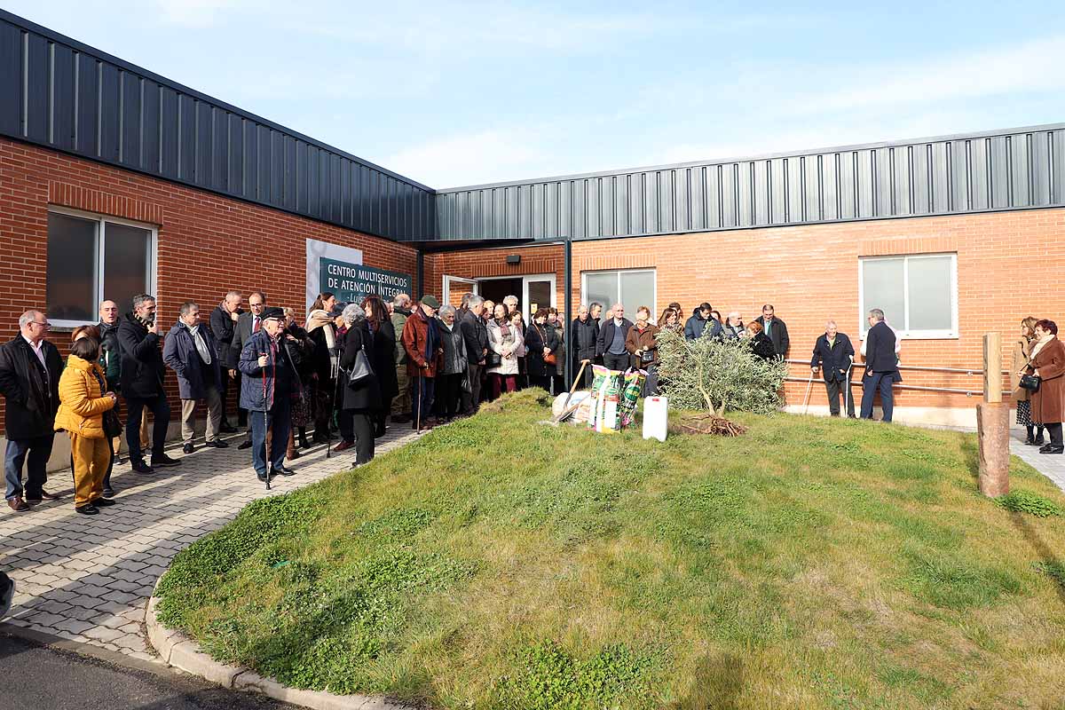 Durante la inauguración oficial se ha plantado un olivo a la puerta del centro. 