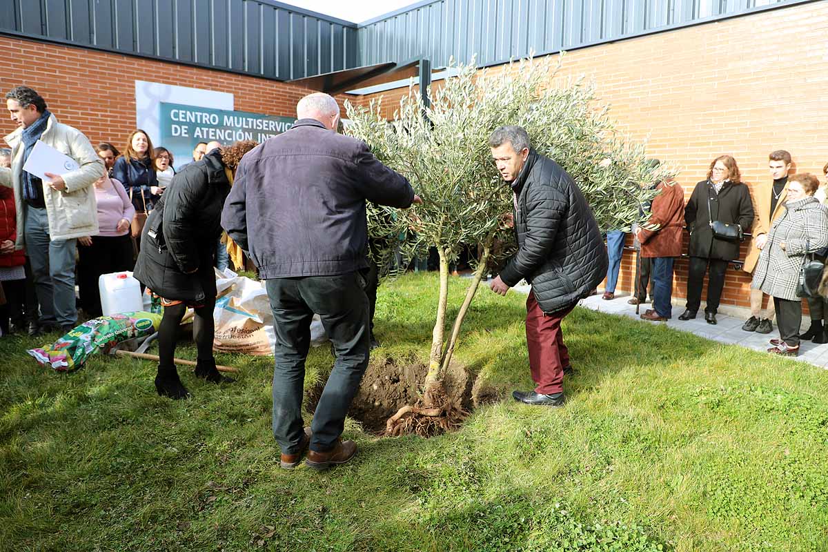 Durante la inauguración oficial se ha plantado un olivo a la puerta del centro. 