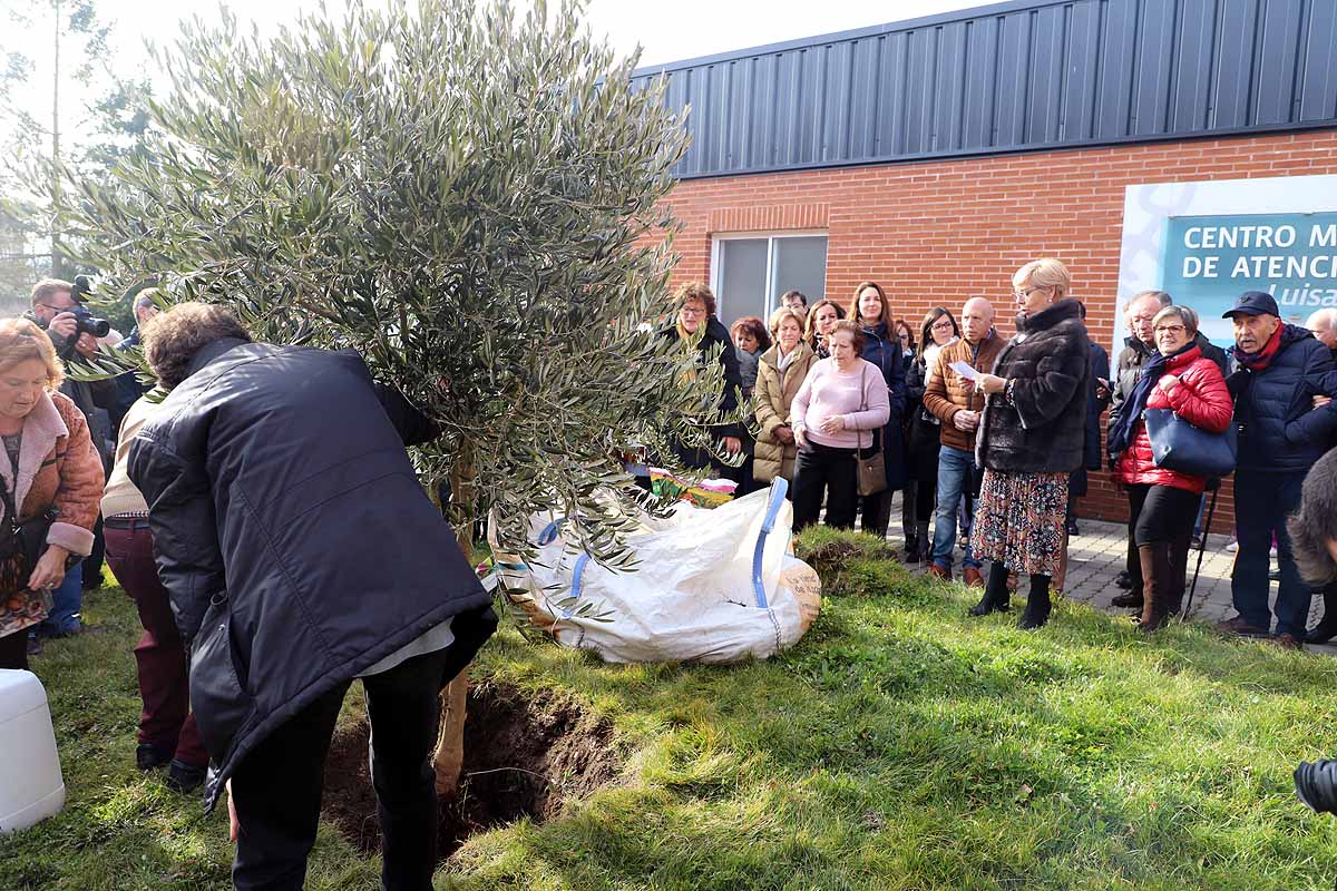 Durante la inauguración oficial se ha plantado un olivo a la puerta del centro. 