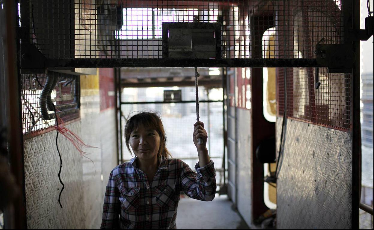 Una mujer en Shanghái.