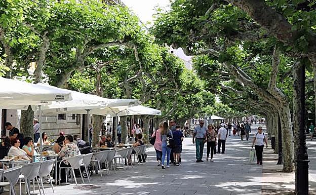 El desempleo baja en 3.000 personas en Burgos durante 2019, cerrando el año con una tasa de paro del 9,34%