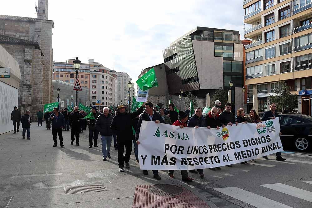 Fotos: Más de 400 agricultores y ganaderos se concentran en Burgos ante la falta de «rentabilidad» de sus explotaciones