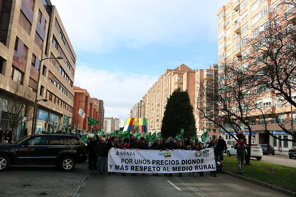 Fotos: Más de 400 agricultores y ganaderos se concentran en Burgos ante la falta de «rentabilidad» de sus explotaciones