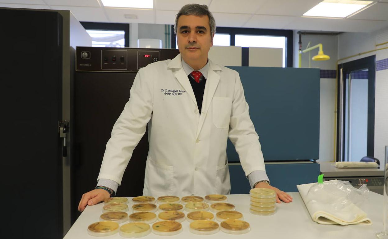 David Rodríguez Lázaro, en el laboratorio de la UBU