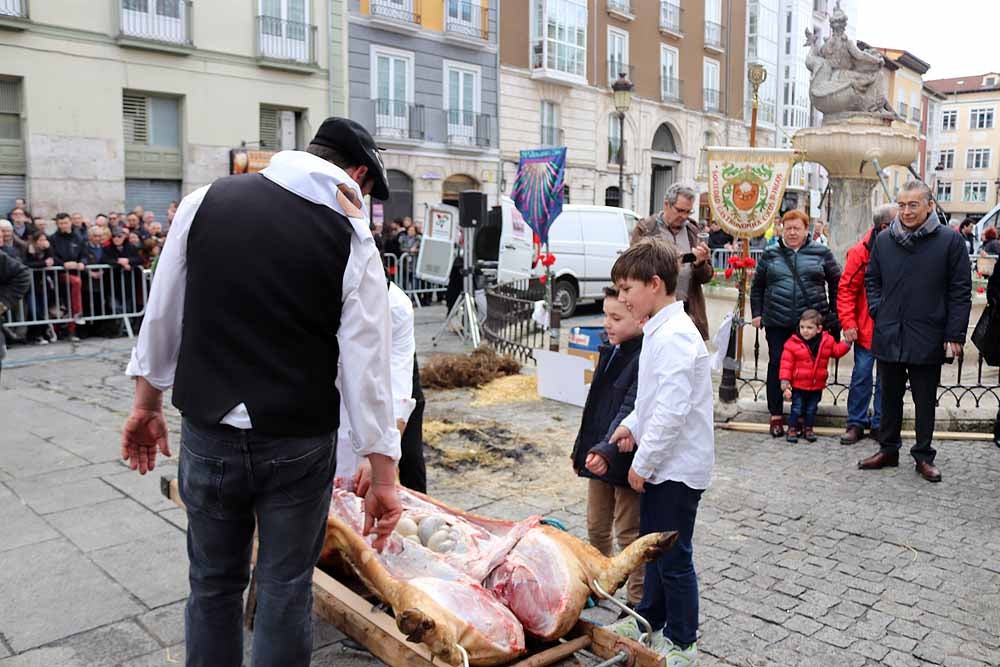 Fotos: Los Cucos celebran con los burgaleses su Fiesta de la Matanza