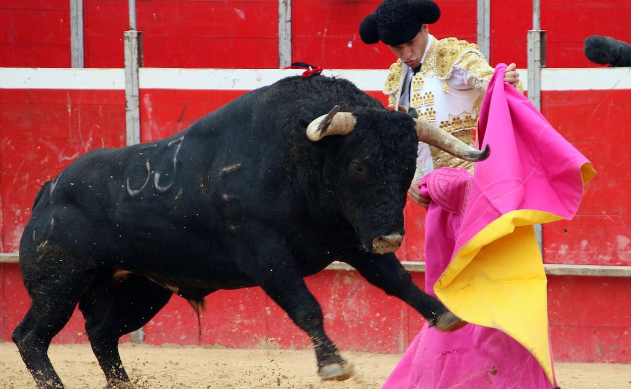 Corrida de toros. 