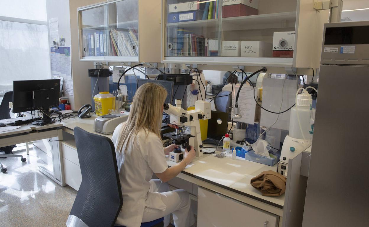 Marta Domínguez-Gil González observa una muestra en el microscopio de Microbiología del Río Hortega. 