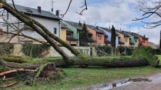 El viento ha desprendido parte del tejado de la iglesia de Santo Domingo de Guzmán y el de una nave en la zona de Hipercor, que ha seccionado un cable eléctrico que ha dejado sin luz a la zona sur y al barrio San Pedro y San Felices.