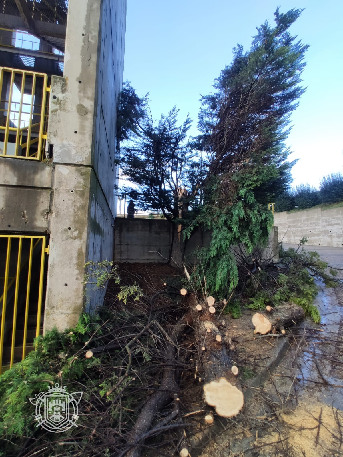 Árboles caídos en las instalaciones de los Bomberos de Burgos.