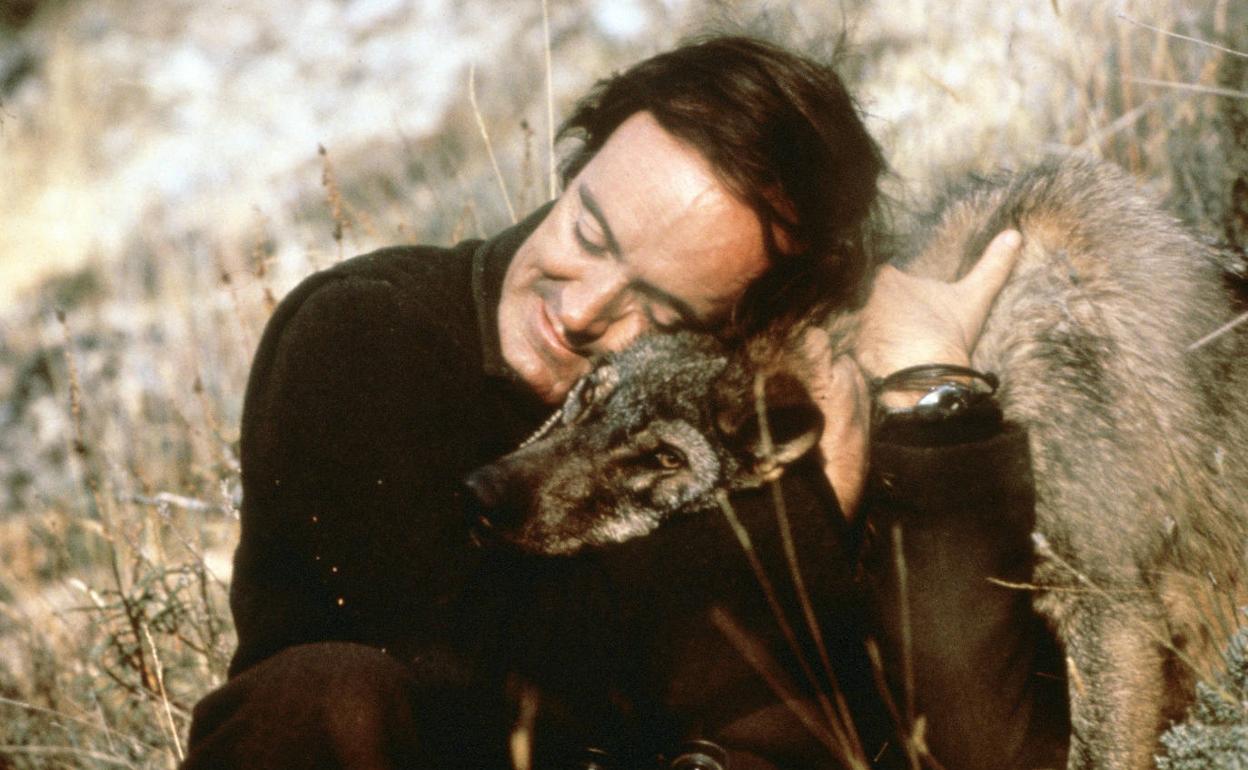 Imagen de archivo del naturalista Félix Rodríguez de la Fuente junto a un lobo. 