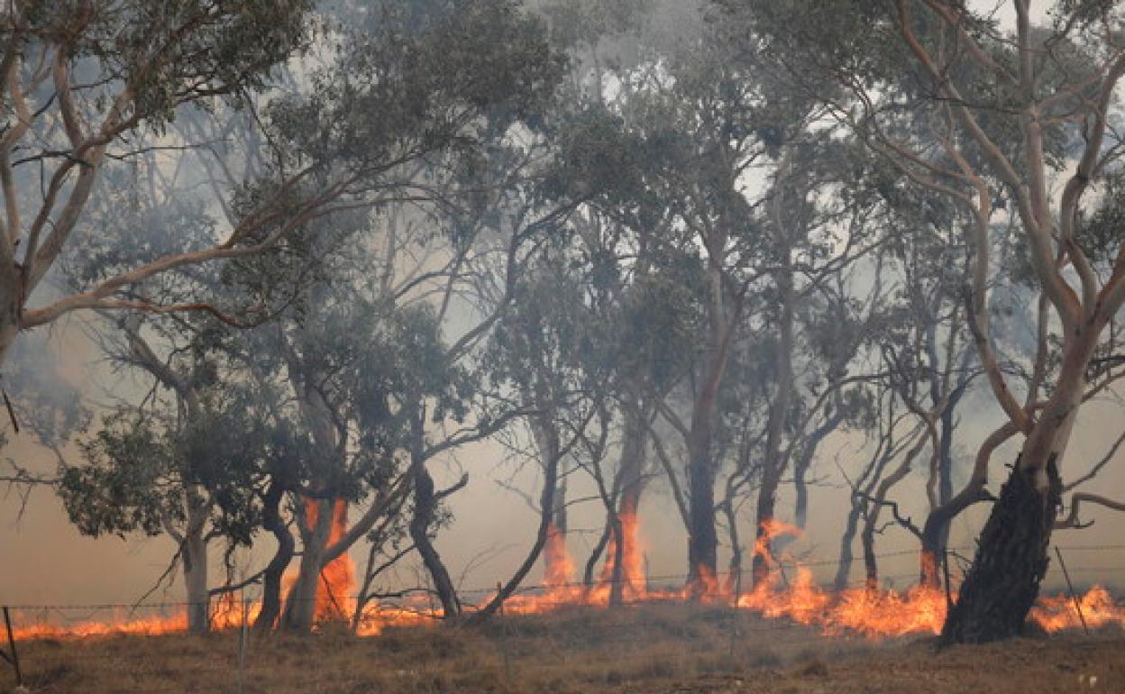 Incendio en Australia en el último año 