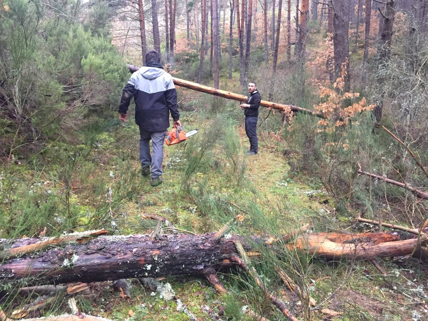 Un fin de semana dedicado a las rutas 4x4 en Palazuelos de la Sierra demuestra que, aunque no es la solución definitiva, las actividades en la naturaleza consiguen insuflar algo de vida a zonas despobladas.