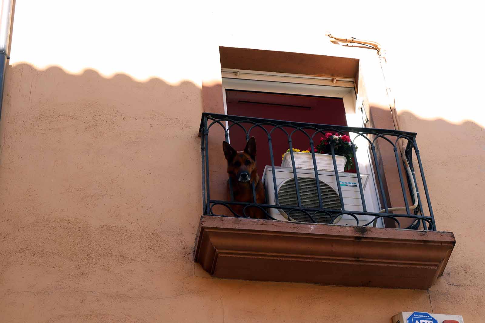 Fotos: Burgos, vacía ante el estado de Alarma Sanitaria por el coronavirus