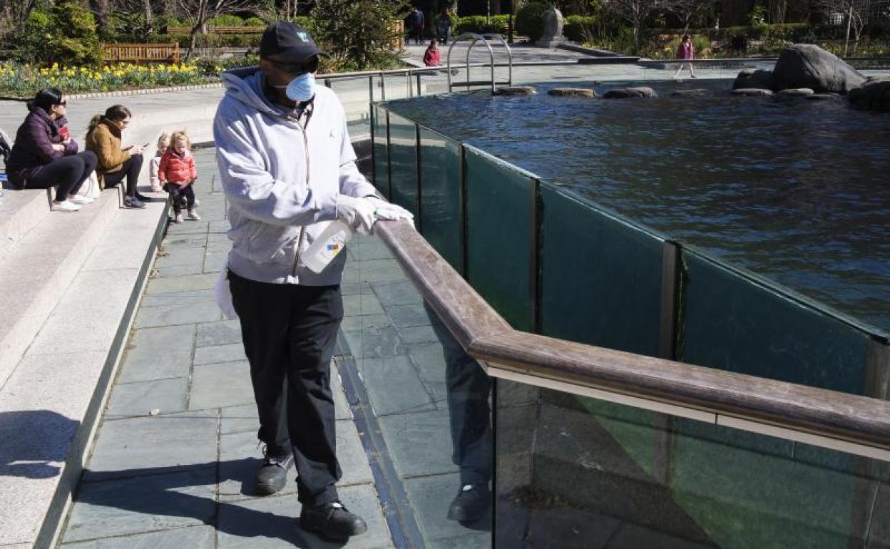 Un trabajador del zoo del Bronx (Nueva York) limpia una barandilla. 