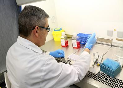 Imagen secundaria 1 - La UBU pone a disposición del Gobierno equipamiento para hacer pruebas del coronavirus