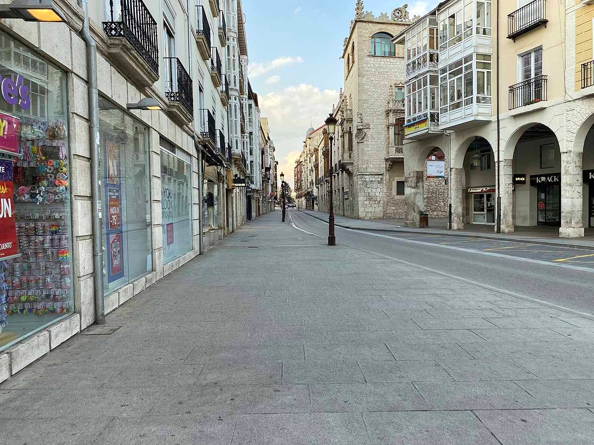 Pasear al perro es una de las pocas circunstancias por las que está permitido salir a la calle.