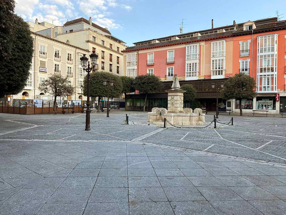 Pasear al perro es una de las pocas circunstancias por las que está permitido salir a la calle.