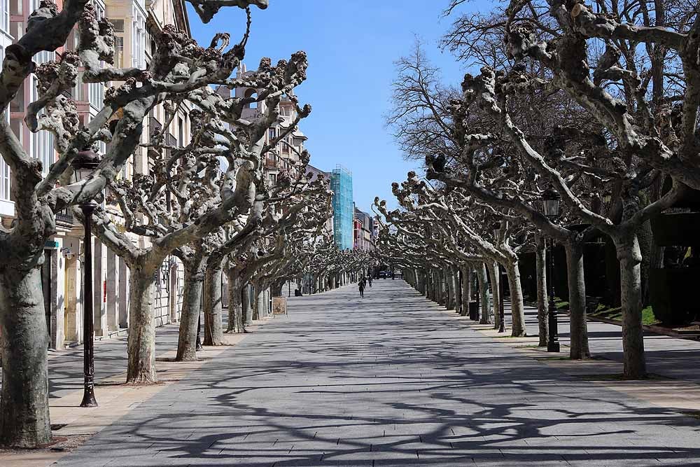 Fotos: Burgos vacía en el décimo día de confinamiento