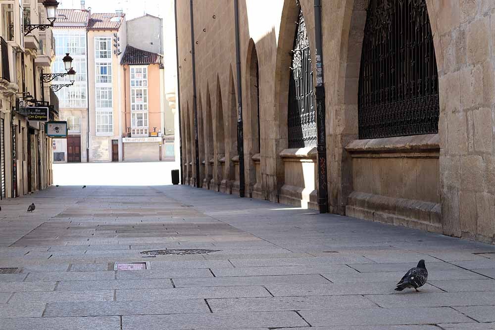 Fotos: Burgos vacía en el décimo día de confinamiento