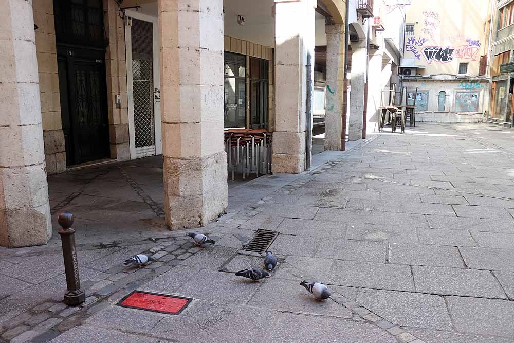 Fotos: Burgos vacía en el décimo día de confinamiento