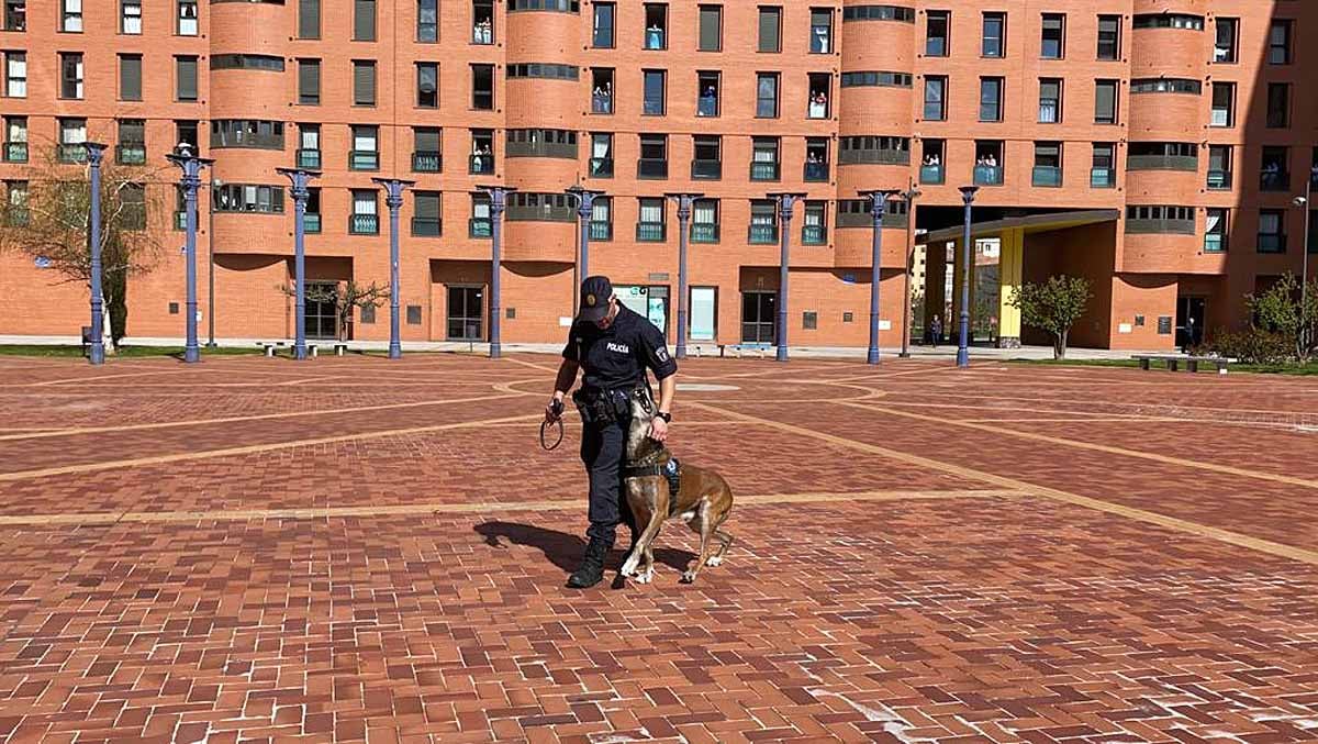 Ante la mirada de niños y mayores los perros han realizado ejercicios de obediencia y de intervención con los agentes.