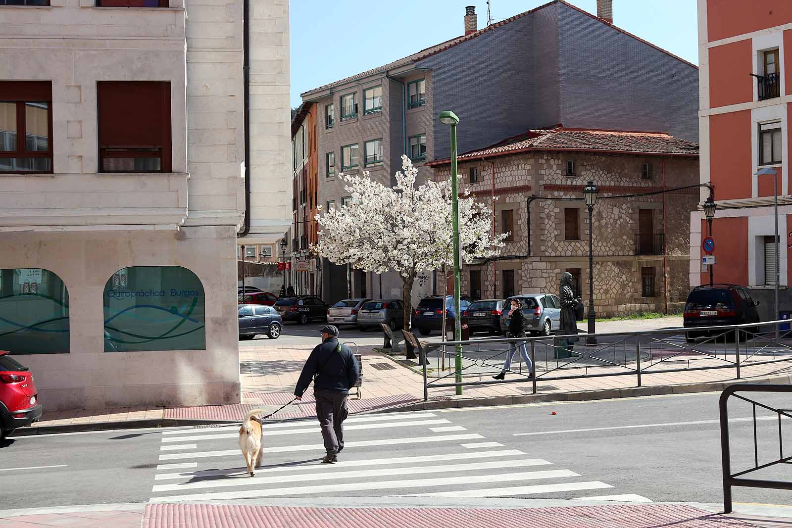 Fotos: El sol ilumina las calles de una ciudad vacía