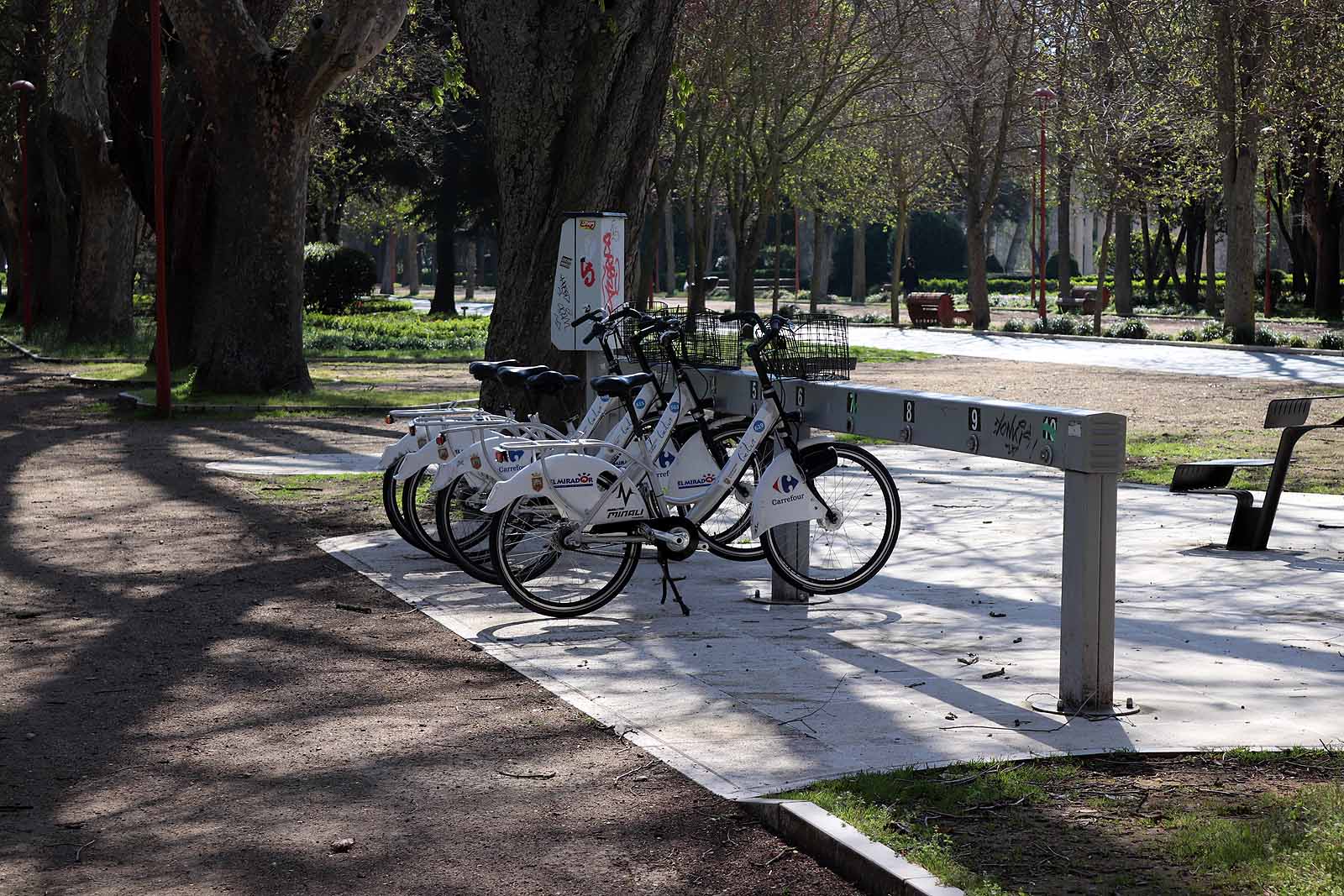 Fotos: El sol ilumina las calles de una ciudad vacía