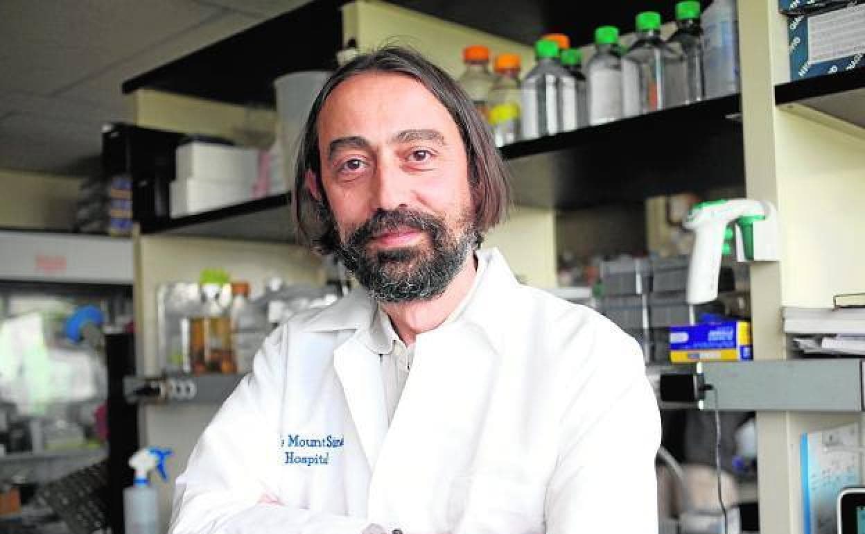 El burgalés Adolfo García Sastre estudia una vacuna para el coronavirus desde el Mount Sinai de Nueva York.
