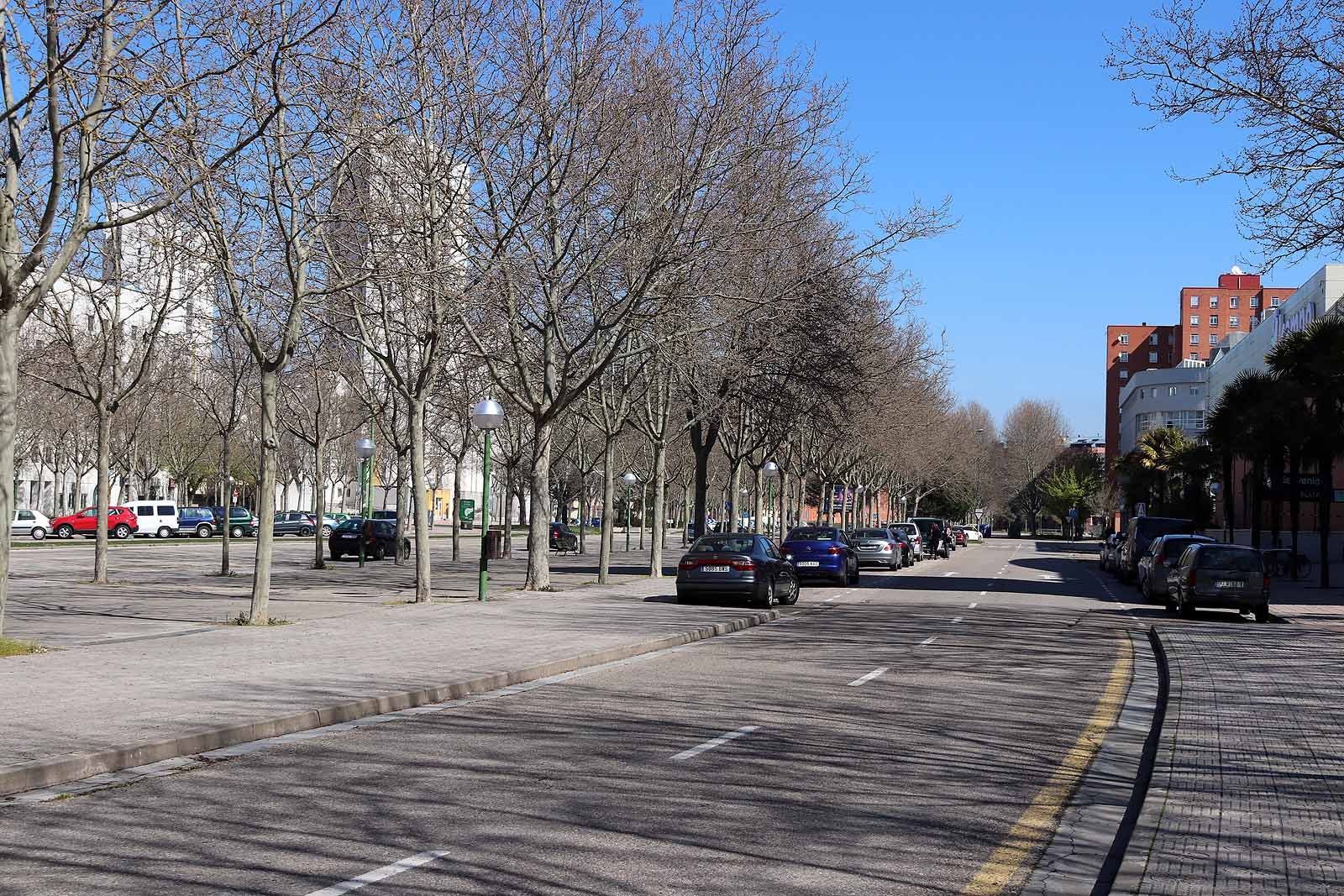 Fotos: Viernes de Dolores sin procesiones pero con colas en los supermercados