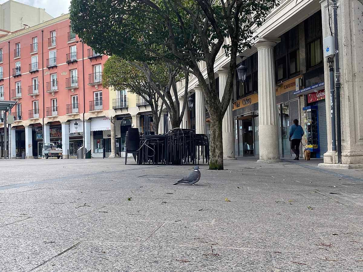 Este Miércoles se ha podido ver a más vecinos que otros días por las calles de la capital.