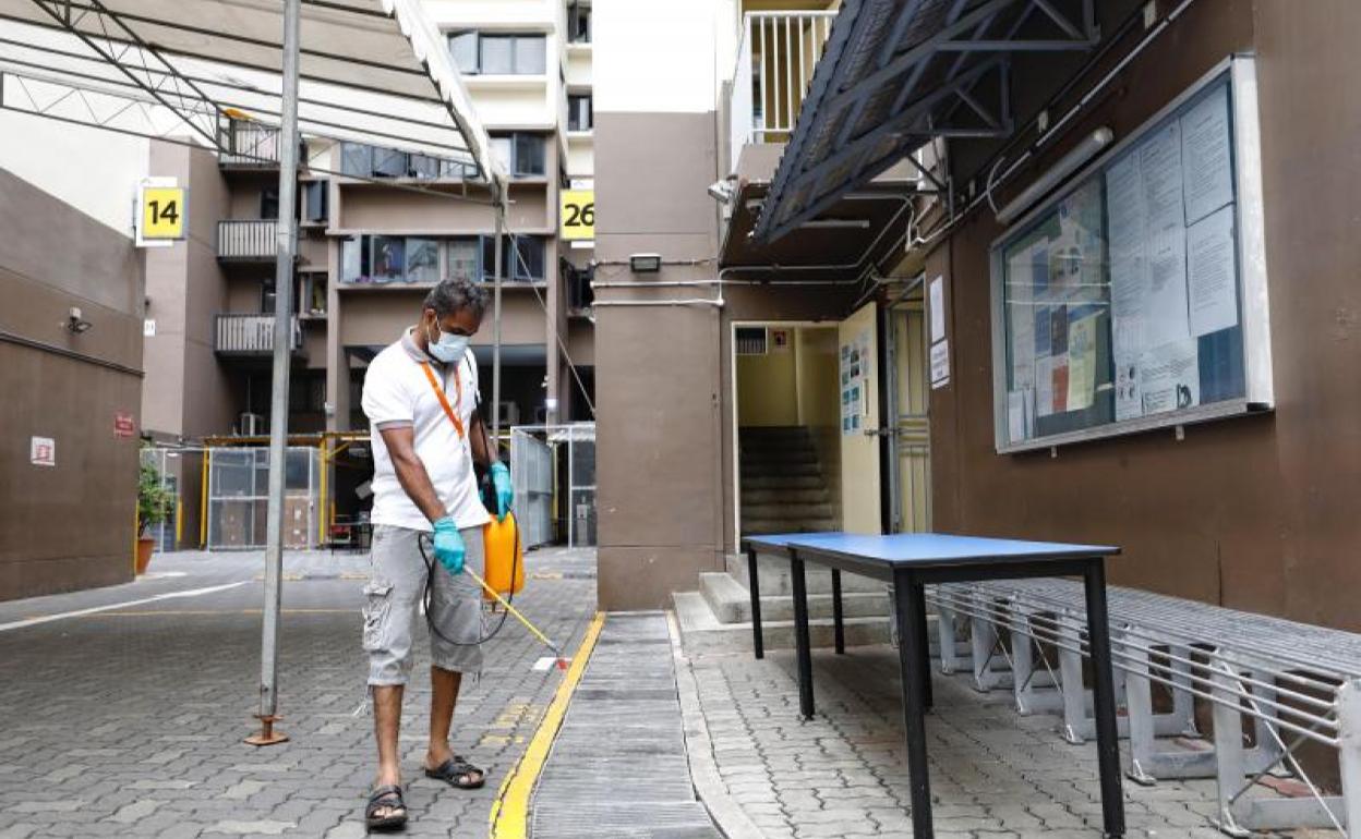 Un hombre desinfecta las calles de Singapur.