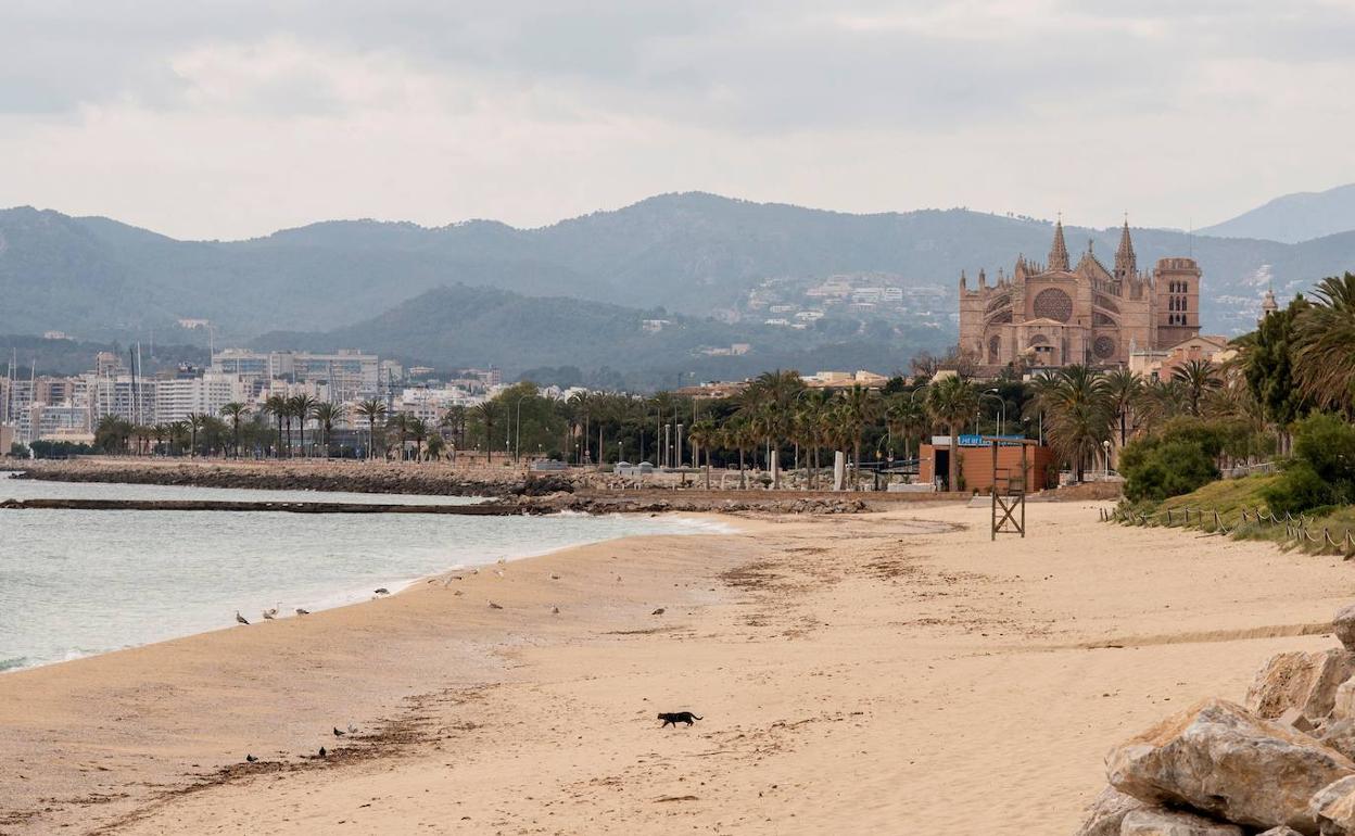 Playa de Palma de Mallorca, vacía por las medidas de confinamiento.