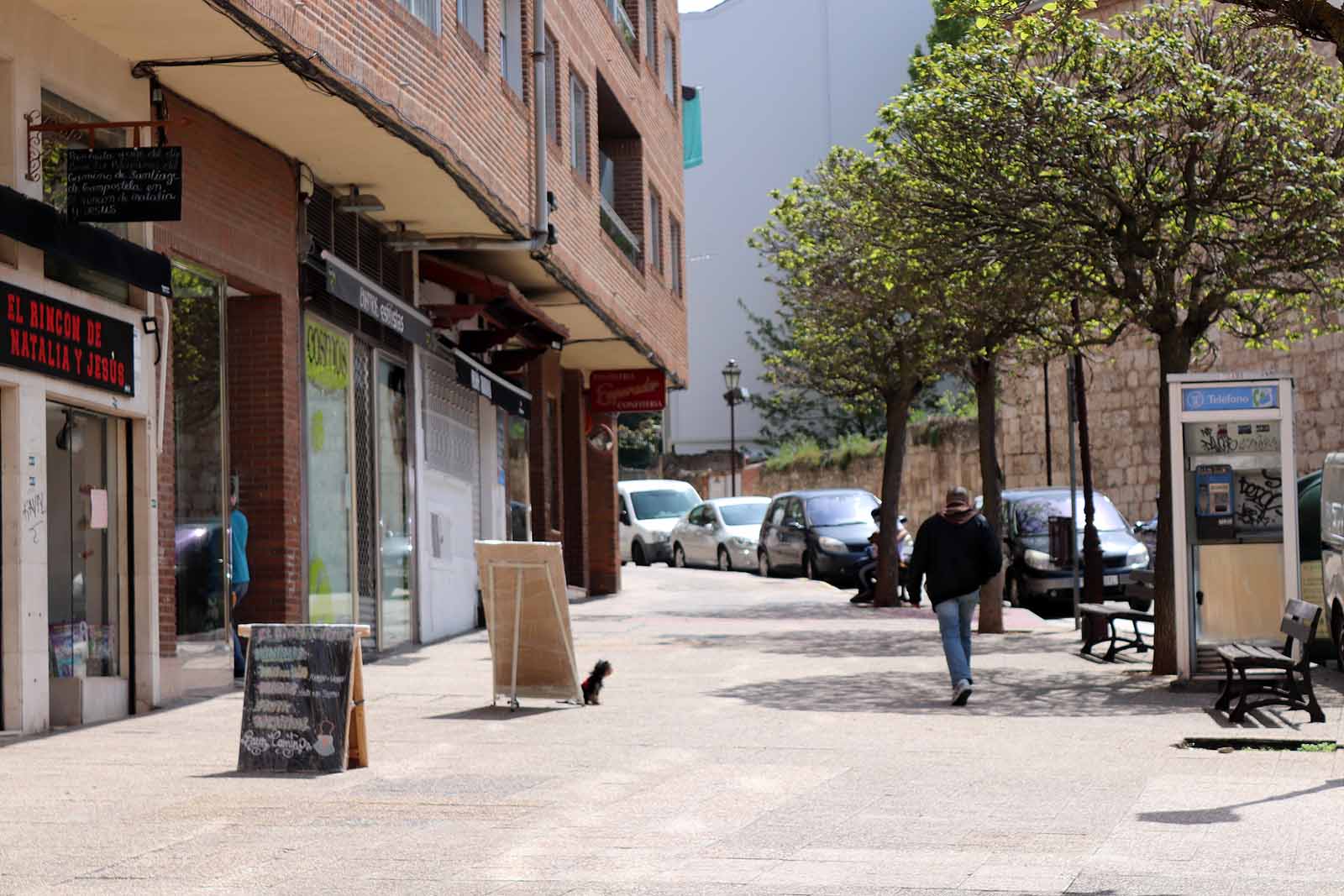 Fotos: La vida se abre paso en el confinamiento