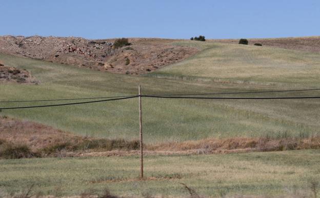 Agricultura subvencionará los intereses de los seis primeros años de préstamos concedidos por la sequía en 2017